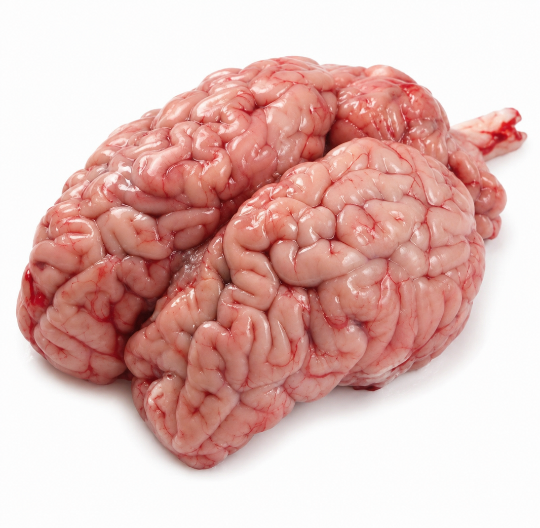 Beef Brain