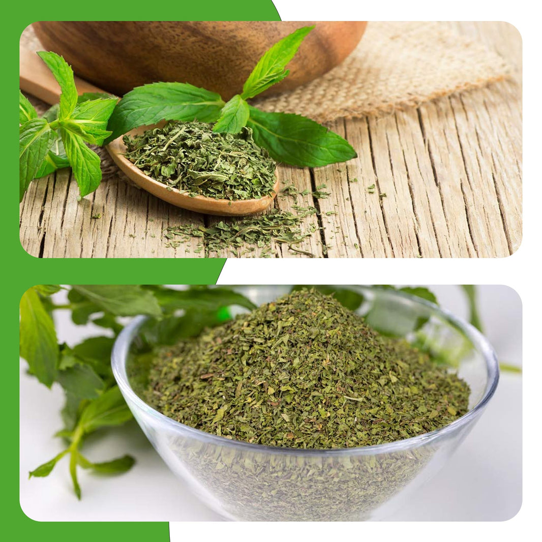 Judi Mountain Dried Mint