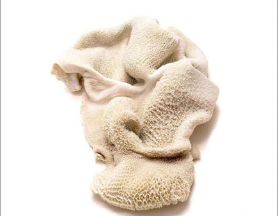 Goat Stomach