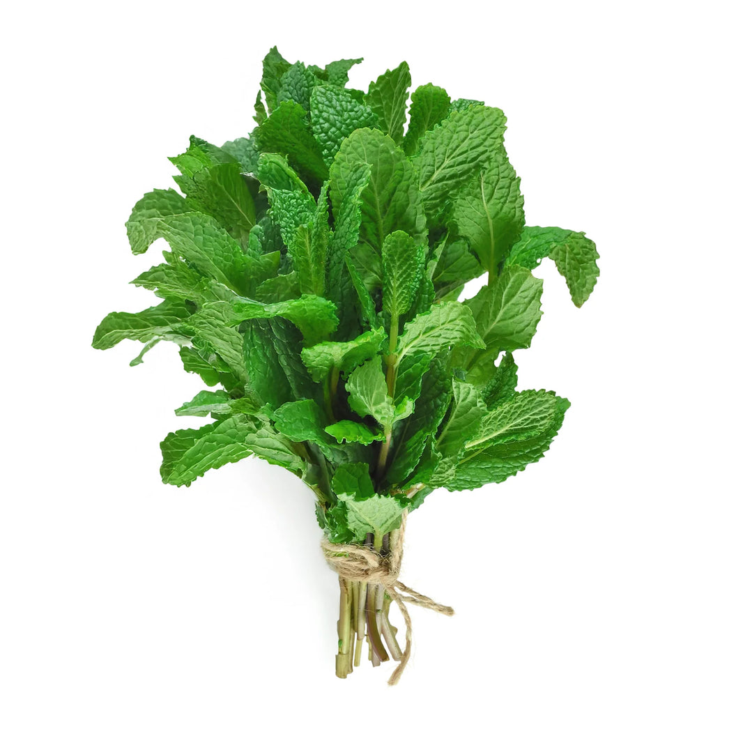 Mint