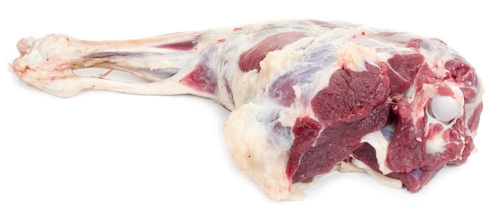Baby Goat Leg
